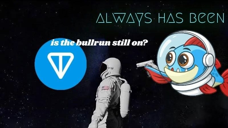 Meme 5